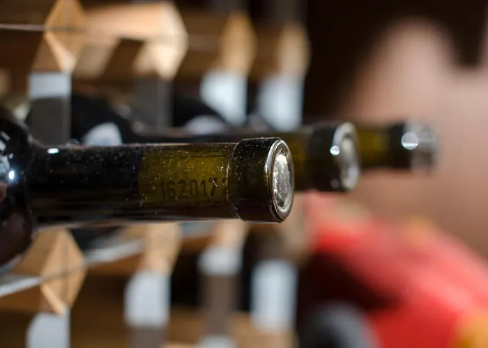 Pohlhof Hotel Kolín nad Rýnem